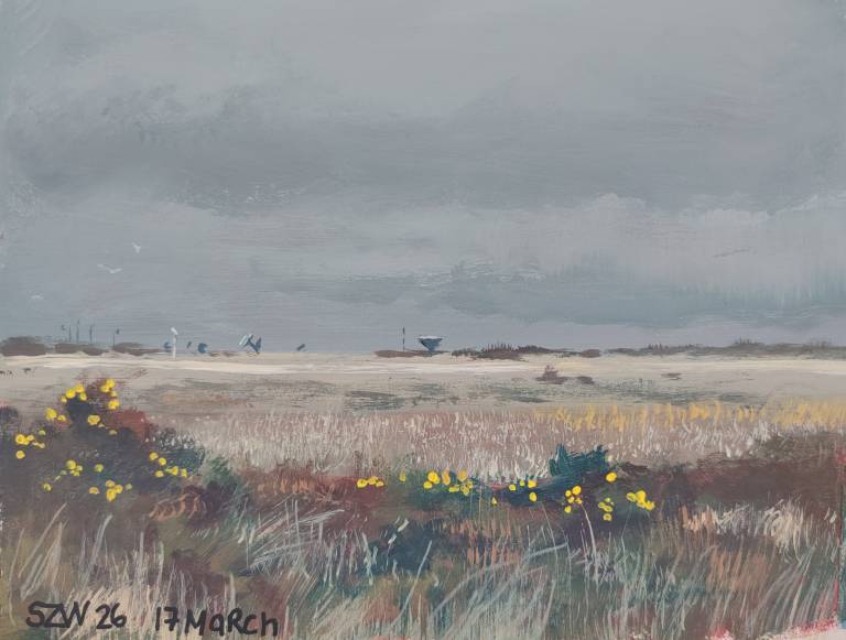 17.03.26 - Sarah Wimperis