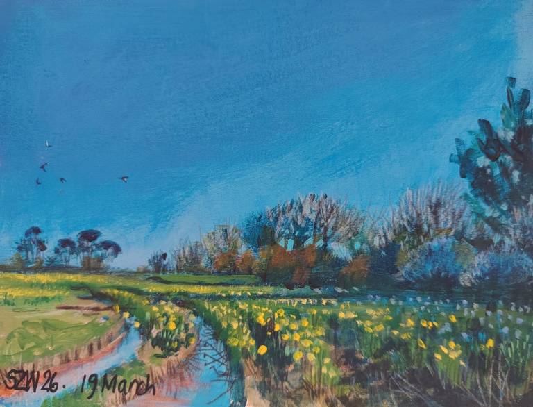 19.03.26 - Sarah Wimperis