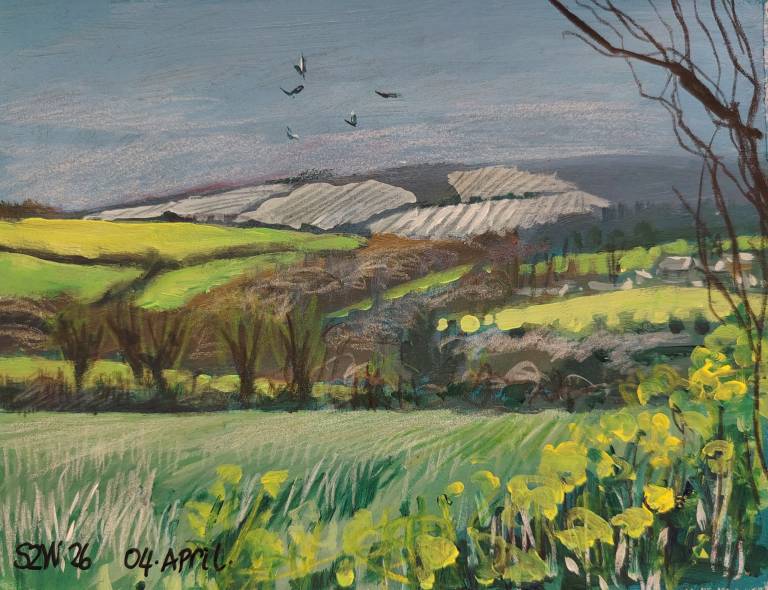 04.04.26 - Sarah Wimperis