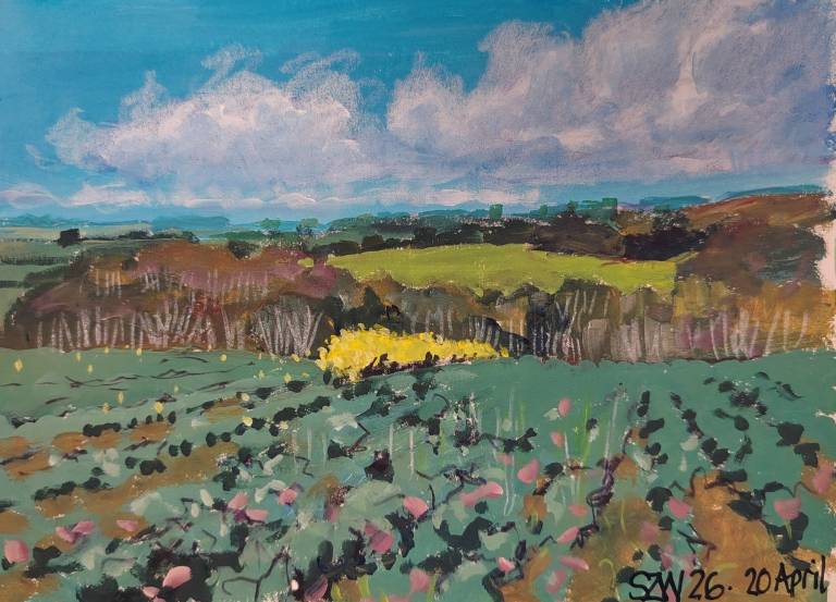 20.04.26 - Sarah Wimperis