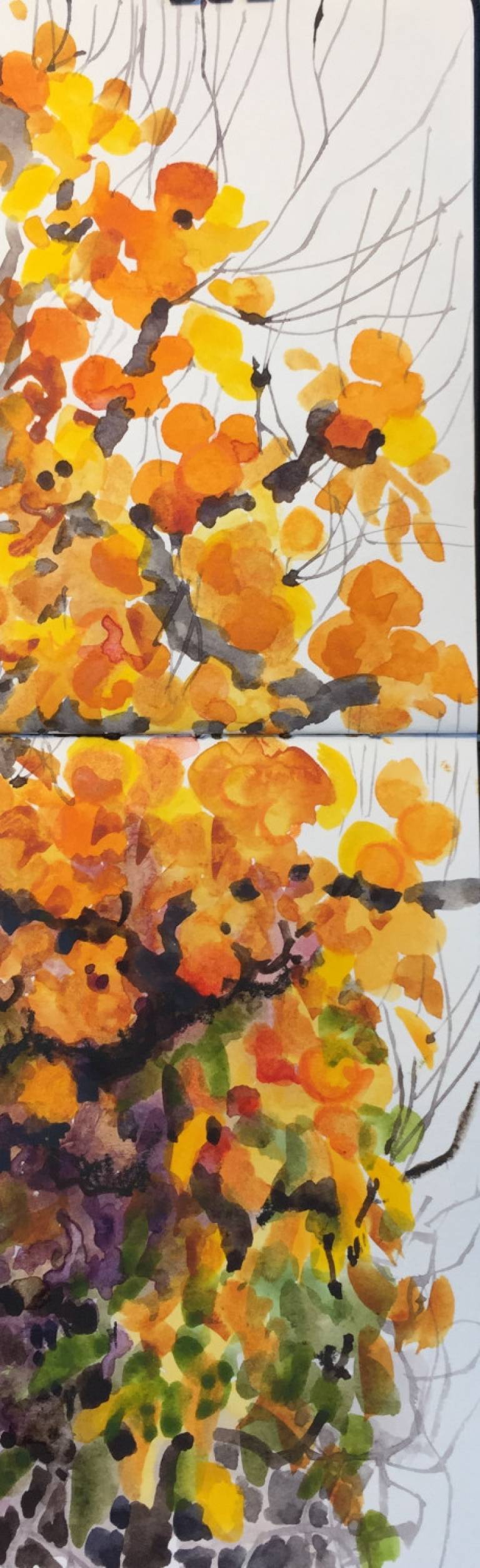 Bologna Sketchbook - Sarah Wimperis