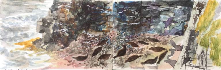 A Cornish Spring sketchbook - Sarah Wimperis