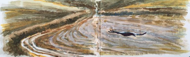 A Cornish Spring sketchbook - Sarah Wimperis
