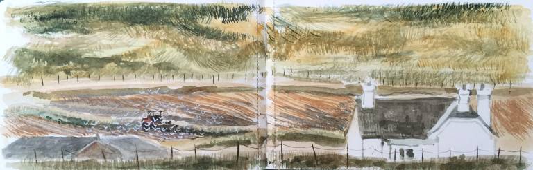 A Cornish Spring sketchbook - Sarah Wimperis