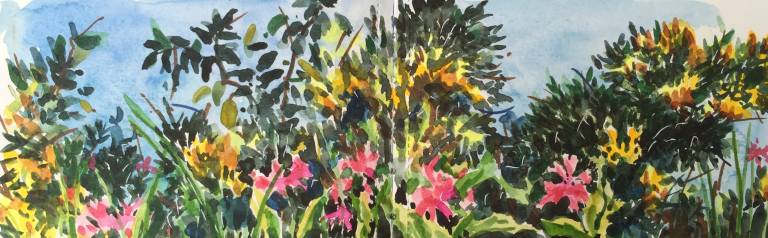 A Cornish Spring sketchbook - Sarah Wimperis