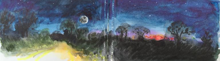 A Cornish Spring sketchbook - Sarah Wimperis