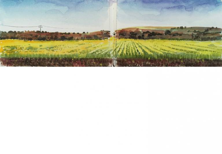 A Cornish Spring sketchbook - Sarah Wimperis