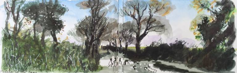 A Cornish Spring sketchbook - Sarah Wimperis