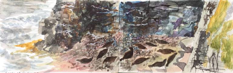 A Cornish Spring sketchbook - Sarah Wimperis