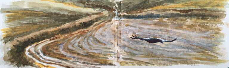 A Cornish Spring sketchbook - Sarah Wimperis