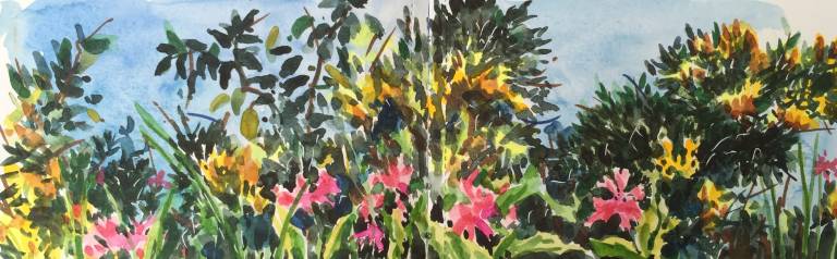 A Cornish Spring sketchbook - Sarah Wimperis