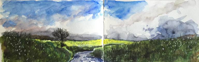 A Cornish Spring sketchbook - Sarah Wimperis