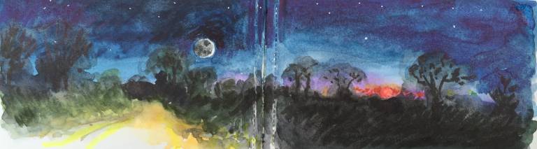 A Cornish Spring sketchbook - Sarah Wimperis