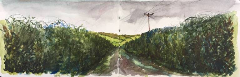 A Cornish Winter sketchbook - Sarah Wimperis