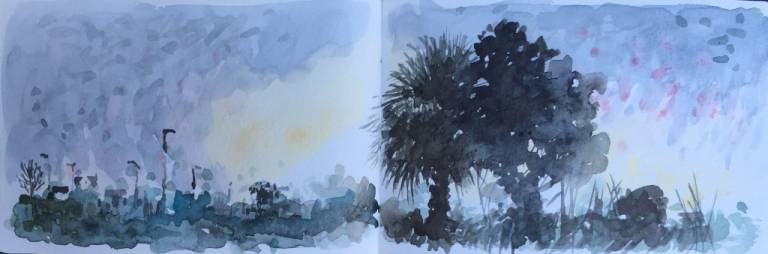A Cornish Winter sketchbook - Sarah Wimperis
