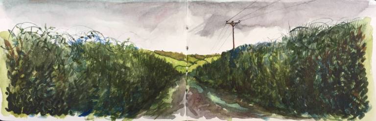 A Cornish Winter sketchbook - Sarah Wimperis