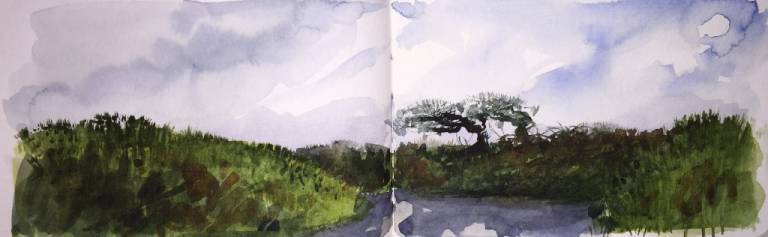 A Cornish Winter sketchbook - Sarah Wimperis