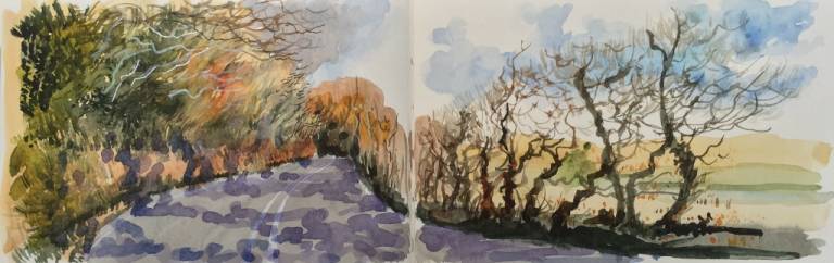 A Cornish Winter sketchbook - Sarah Wimperis