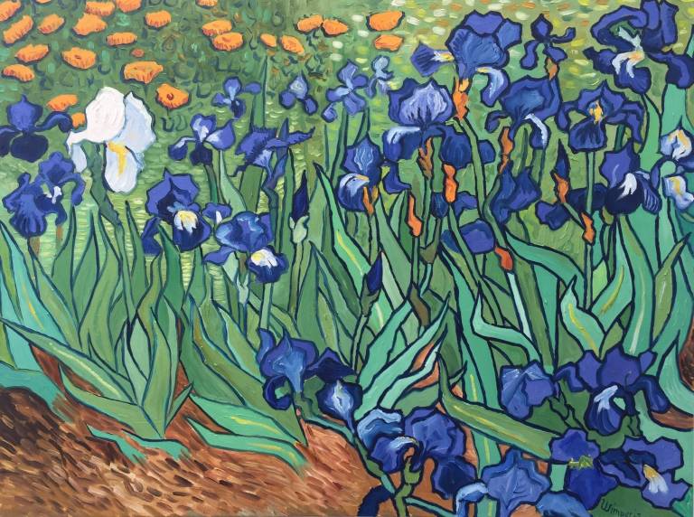 Charity Irises - Sarah Wimperis