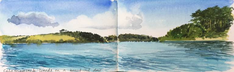 Helford River Sketchbook - Sarah Wimperis