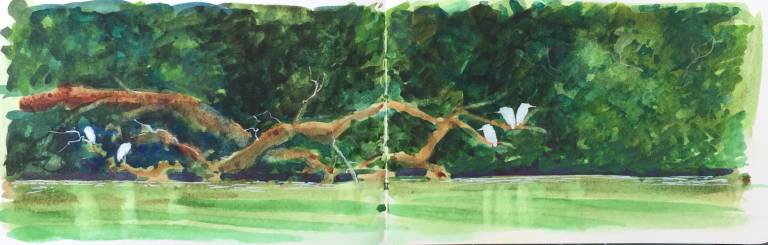 Helford River Sketchbook - Sarah Wimperis