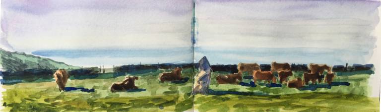 Cornish Coast Sketchbook - Sarah Wimperis