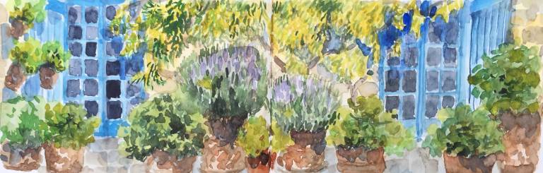 Inside Story - Sarah Wimperis