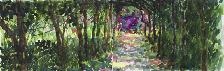 A Garden Sketchbook - Sarah Wimperis