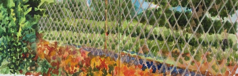 A Garden Sketchbook - Sarah Wimperis