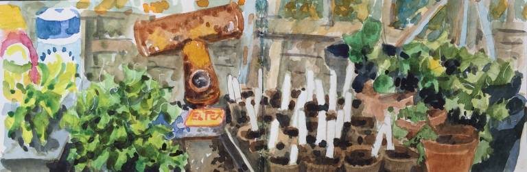 A Garden Sketchbook - Sarah Wimperis