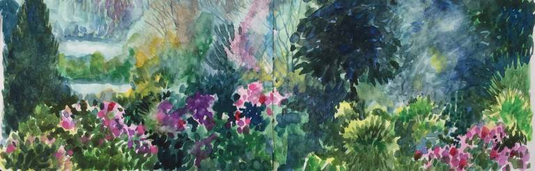 A Garden Sketchbook - Sarah Wimperis