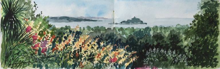 A Garden Sketchbook - Sarah Wimperis