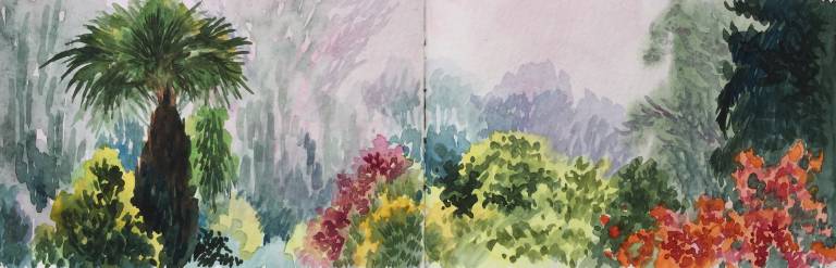 A Garden Sketchbook - Sarah Wimperis