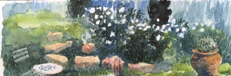 A Garden Sketchbook - Sarah Wimperis