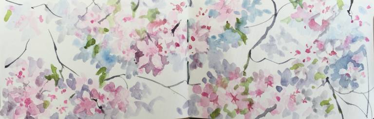 A Garden Sketchbook - Sarah Wimperis