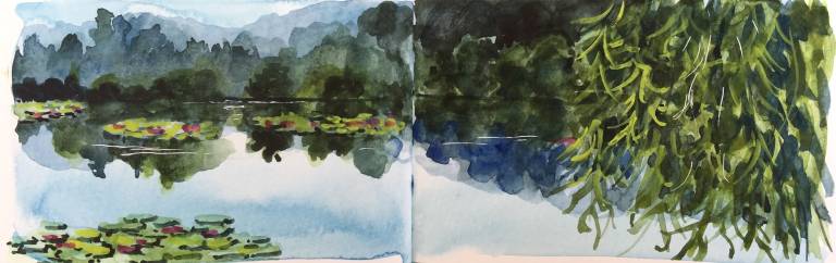 A Garden Sketchbook - Sarah Wimperis