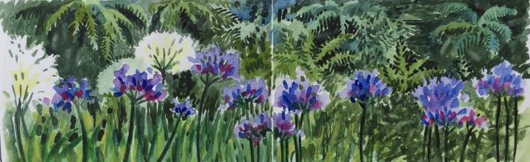 A Garden Sketchbook - Sarah Wimperis