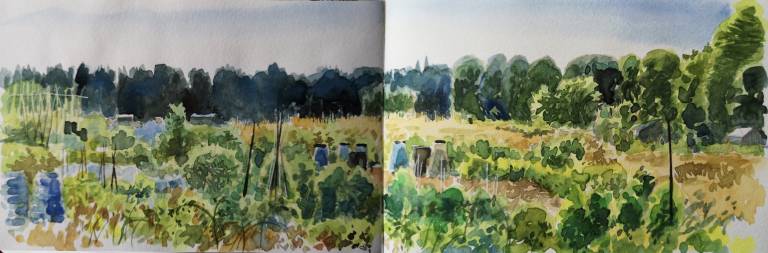 A Cotswold Sketchbook - Sarah Wimperis