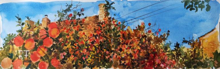 A Cotswold Sketchbook - Sarah Wimperis