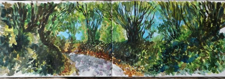 A Cotswold Sketchbook - Sarah Wimperis