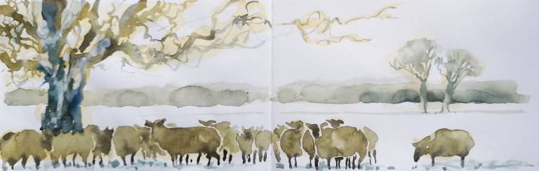 A Cotswold Sketchbook - Sarah Wimperis