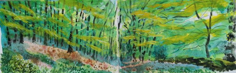 A Cotswold Sketchbook - Sarah Wimperis
