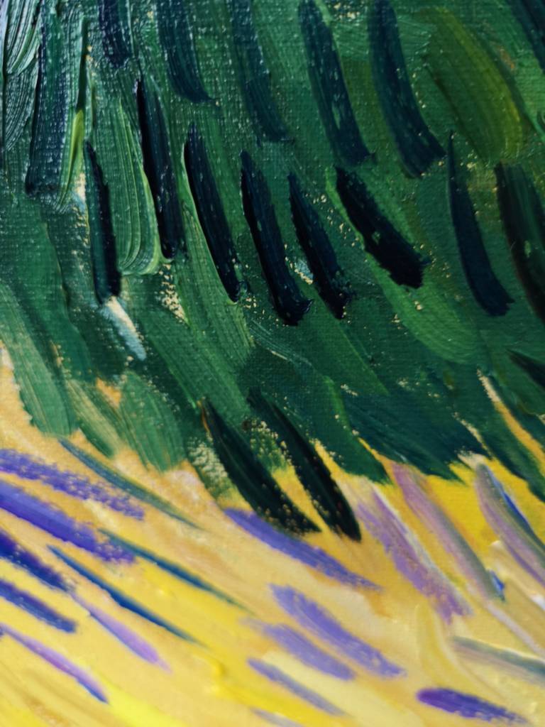 Garden behind a House, after Vincent. - Sarah Wimperis