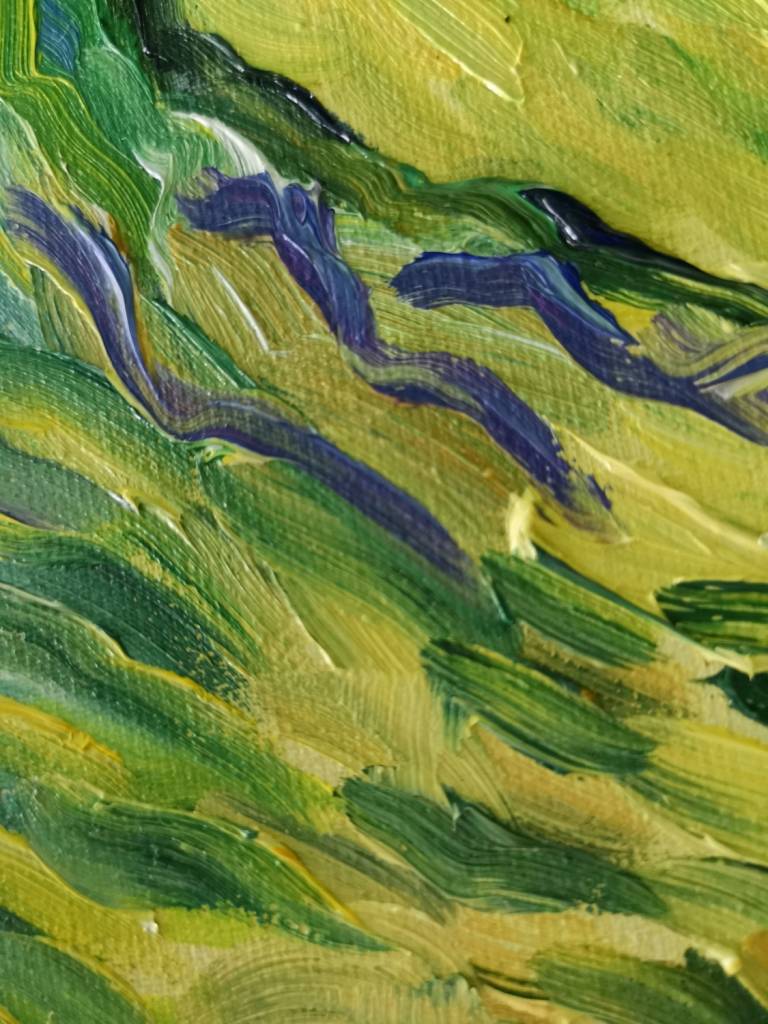 Olive Grove After Vincent, - Sarah Wimperis