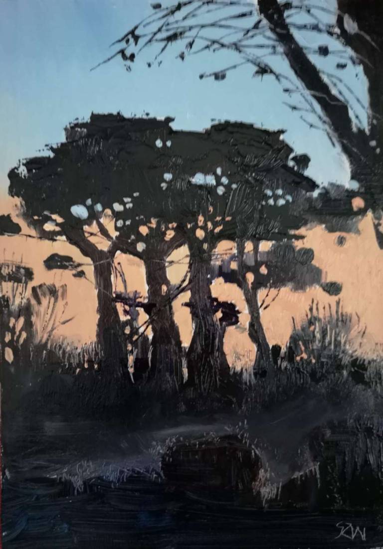 Daily Paintings March 2020 - Sarah Wimperis