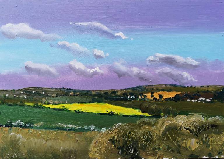 Daily Paintings March 2020 - Sarah Wimperis