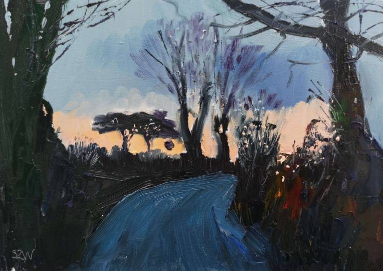 Daily Paintings April 2020 - Sarah Wimperis