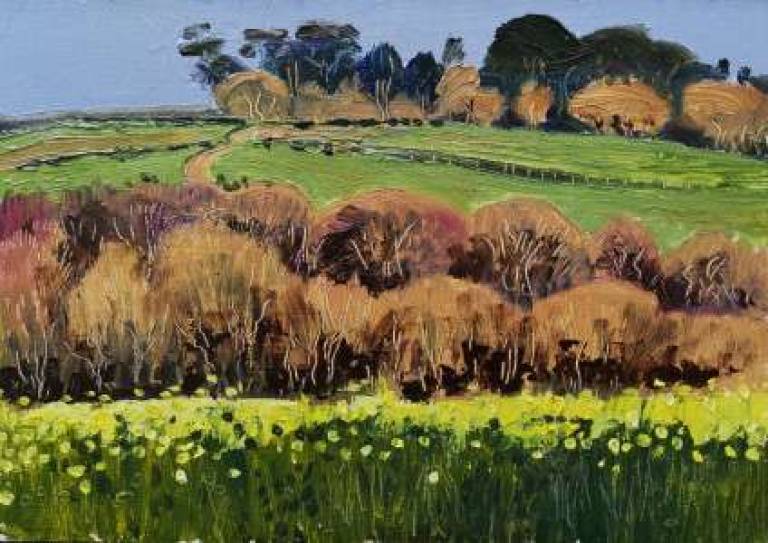 Daily Paintings April 2020 - Sarah Wimperis