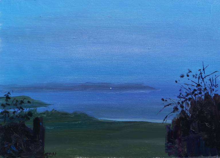 Daily Paintings April 2020 - Sarah Wimperis