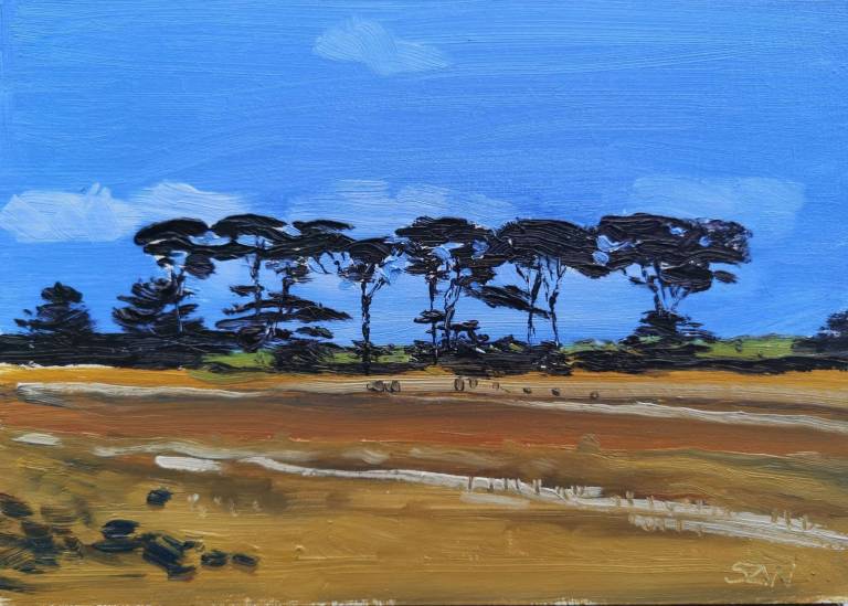 Daily Paintings April 2020 - Sarah Wimperis